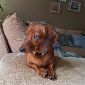 Meet your Posher, Melissa